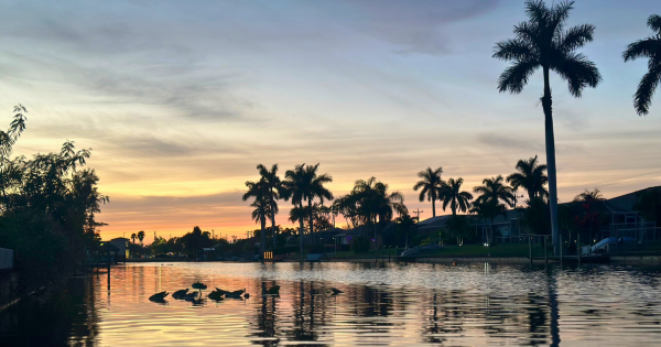 Florida Sunset on the water with palm trees